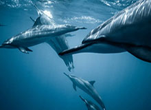 金年会APP-2026年浙江将首次举办城市足球联赛